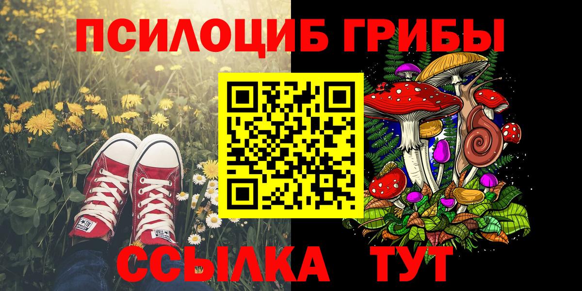 Псилоцибиновые грибы ЛСД Добрянка