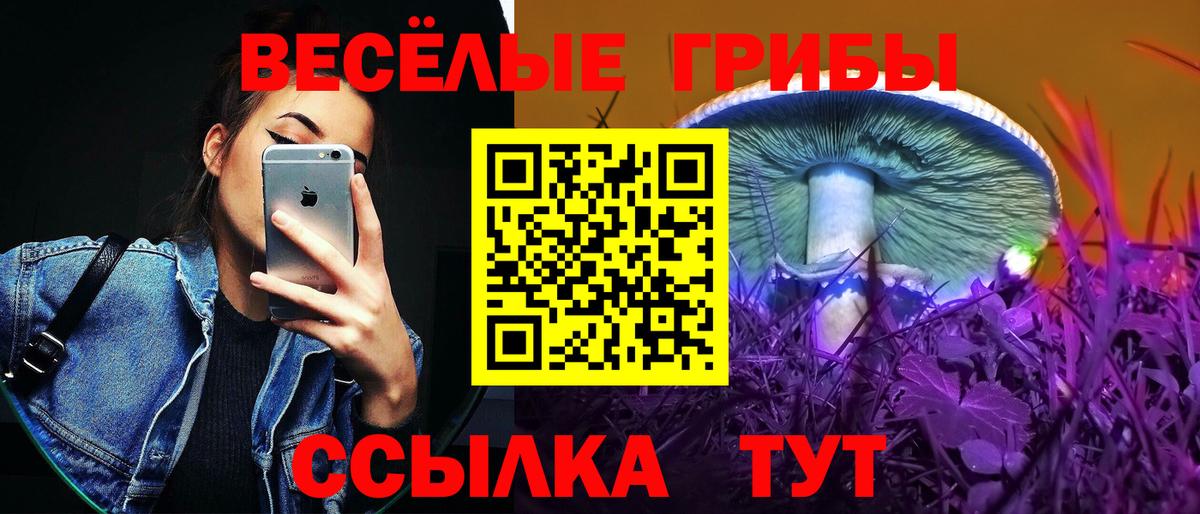Галлюциногенные грибы MAGIC MUSHROOMS  Вход с VPN  Добрянка 