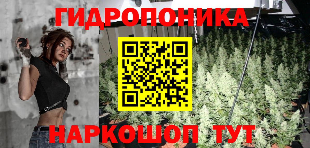 Конопля Ganja Добрянка